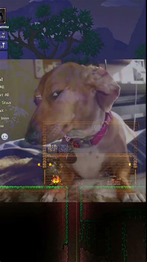 Out Of Context Clips From The New Terraria Video😳🌝 #terraria #gaming #gameplay #letsplay