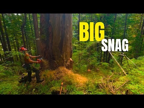 Opening Up the Bottom Line | Strategy & Precise Aim