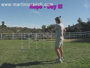 2X2 Weave Poles Part 2 (Zelda)