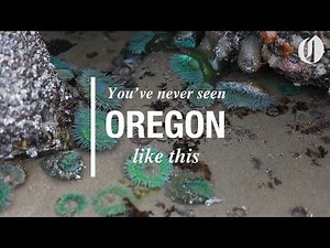 Super low tides allow beachgoers to walk all the way around Haystack Rock