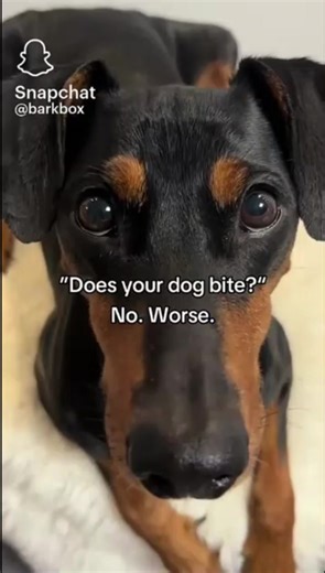 GRAVIK IS HERE #OPPORTUNITIES AND #SAFETY IS A BASIC NEED - WE NEED FEEDBACKI