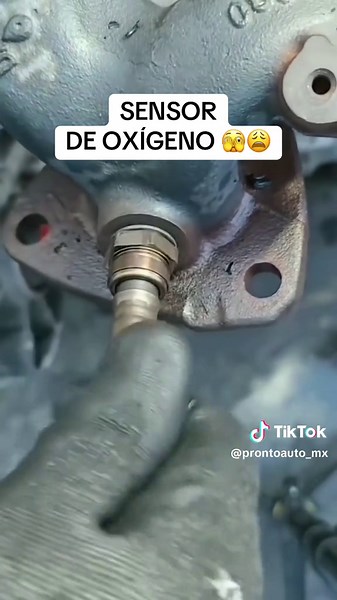 Guía para el Sensor de Oxígeno en Varios Modelos