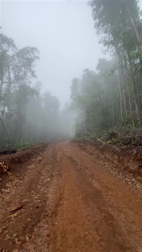 stonecutter_house on TikTok