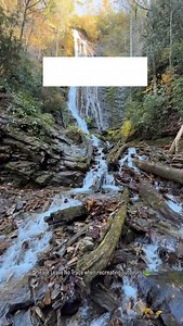 Did you know?? 🤯 One of the tallest waterfalls in Southern Appalachia is just outside Great Smoky Mountains National Park 😍 ❓What: Mingo Falls 📍Where: Cherokee, NC 📆When to Visit: Year-round (but we’d vote spring or fall!) 💦 Waterfall height: 120 feet! 💰Cost: FREE! 🗺️ Length: 0.3 miles roundtrip 🤔 Difficulty: Moderate - involves climbing 160 stairs 🥾Other Hikes Nearby: Deep Creek Waterfall Loop, Oconaluftee River Trail, Soco Falls Trail Tag someone who you’d go with!🥰 And comment “BLOG