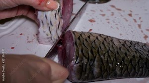 Woman, housewife cutting fish. Cooking oven baked dish for dinner