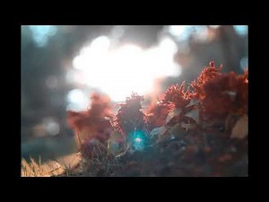 Ryan Pulford "Better Off Alone" [Grxtz Remix]