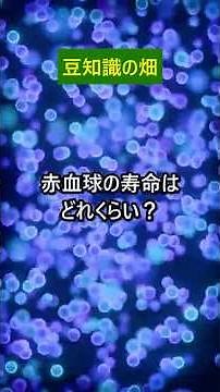 約4ヶ月で全部入れ替わる！赤血球の寿命と驚きの新陳代謝 #Shorts