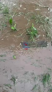 108K views · 485 reactions | A fost prapad in comuna Siminicea. Localnicii au eliberat drumul dupa ce s-a liniștit vremea | Suceava Fail | Facebook