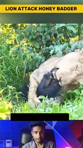 A Fierce Battle Ends in a Brutal Feast