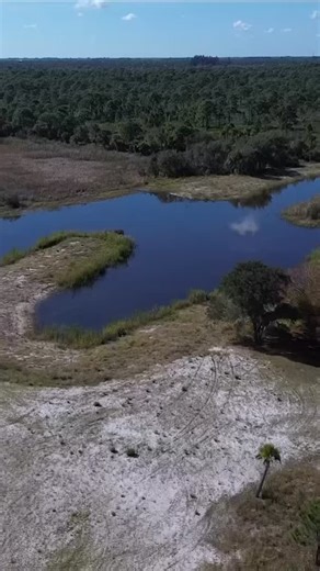 A new wetland has been constructed at Indrio Savannahs Preserve to naturally treat stormwater runoff. The wetland connects the northern county drainage basin to a previously isolated man-made lake, using native vegetation to reduce excess phosphorus and nitrogen before water reaches local estuaries. This helps limit harmful algae and blue-green algae blooms while promoting an environmentally friendly treatment system. The project is funded by the American Rescue Plan Act of 2021. The parking lot