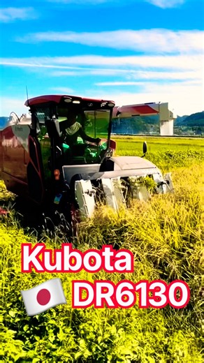 Kubota DR6130クボタの6条130馬力コンバインで刈り取り🏃‍♂️#kubota #harvester #harvesters #コンバイン #combine #農業 #農家 #割倒#割稲