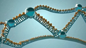 Robots mimicking CRSPR Cas9 protein behavior unzipping and re-zipping DNA strands.