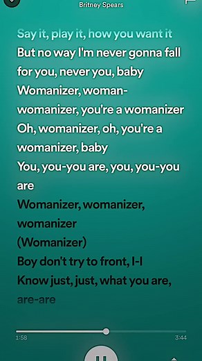 Understanding the Meaning of the Womanizer Phenomenon