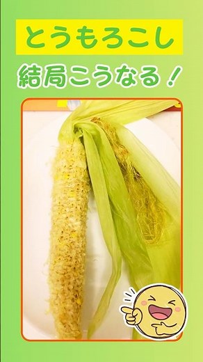 【アイラップ】とうもろこし🌽皮付き、レンジが簡単ラク旨！vol.75 #shorts #とうもろこし #アイラップ #アイラップ活用 #簡単レシピ #レンジレシピ
