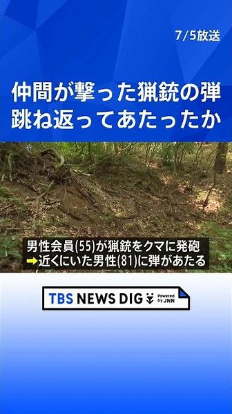 81-Year-Old Man Injured in Left Shoulder After Ricochet During Bear Extermination by Hunting Asso...