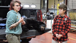 More than 900 bears checked in by hunters in first two days of Pennsylvania rifle season