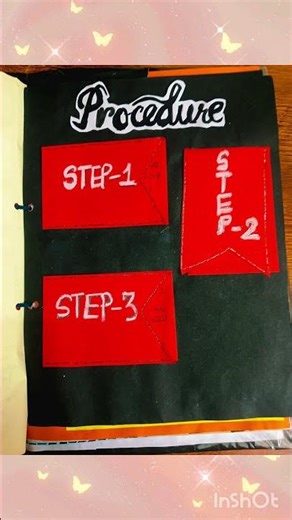 Chemistry Project (class 11or 12) the topic "To determine the rate of fermentation in gram flour"🫠💗✨