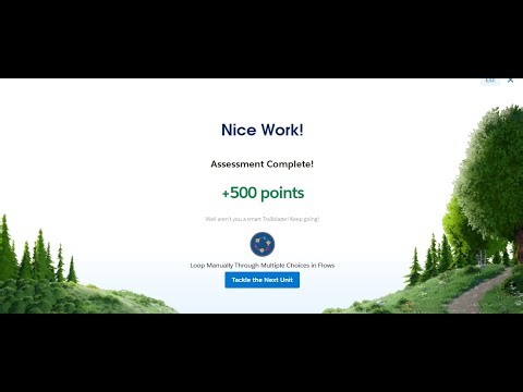 Create a Flow with a Multi-Select Picklist At Loop Manually Through Multiple Choices in Flows