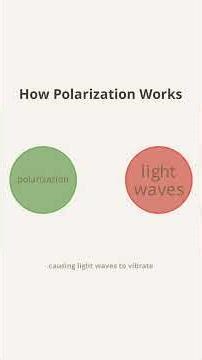 How Polarized Sunglasses Beat Glare: The Science Explained!