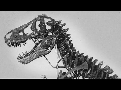 T. rex: The King of Time (and Pop Culture)