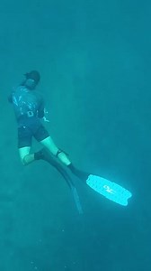 this is my pet cod, he is bigger then me weights about 100kgs and is 2.5m long! he is just like a big puppy dog | Brodiemoss