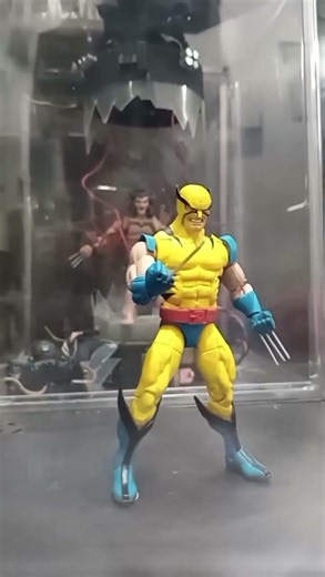 Marvel Legends Hasbro WOLVERINE First appearance Tiger stripes from 2pack #mywolvycollections\\l/