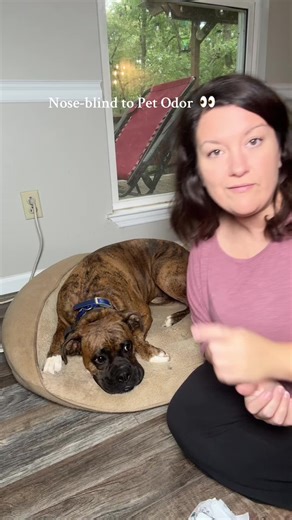 Who better to come out with a pet odor eliminator line than Poo Pourri! They know what they are doing when it comes to eliminating odors 🤭 #petodor #petodoreliminator #pourii #poopourri