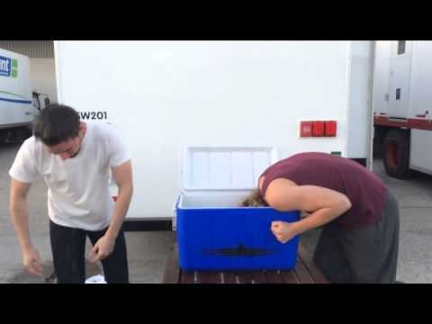 Toby & Torrance do the Ice Bucket Challenge.