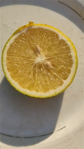 Delicious sweet Malta cutting skills #shorts