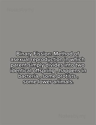 Binary Fission Explained | #Biology