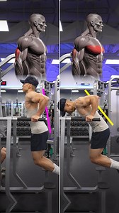 2.8M views · 16K reactions | Size & Shred Training program  deltabolic.com Dips – KNOW THE DIFFERENCE! Upright body → Focuses on the triceps Leaning forward → Emphasizes the lower chest (still works triceps) #dips | Andrew Kwong | Facebook