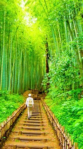 28K views · 1.1K reactions | Come with us as we show you the hidden gems of Chiba, Tokyo’s neighbor and home of Narita Airport ✈️ | Visit Chiba Japan | Facebook