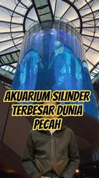 AKUARIUM SILINDER TERBESAR DUNIA PECAH.