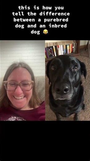 This is how you tell the difference between a purebred 🐶 and an inbred 🍞 🐶 #youtube #shorts #dogs