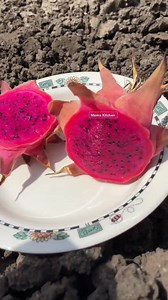 Farming 🧺 | Moms Kitchen