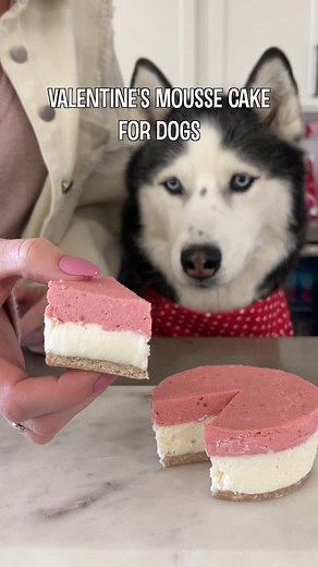 Homemade Valentine's Mousse Cake For Dogs! | My Mountain Husky