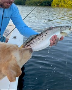 1.5K reactions · 25 shares |  Saltwater Anglers, THE POLK COUNTY...