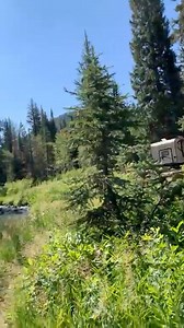 Camping up Big Cottonwood Canyon this week. #foryou #campinglife #relaxing #rvlife | Trent Whitaker