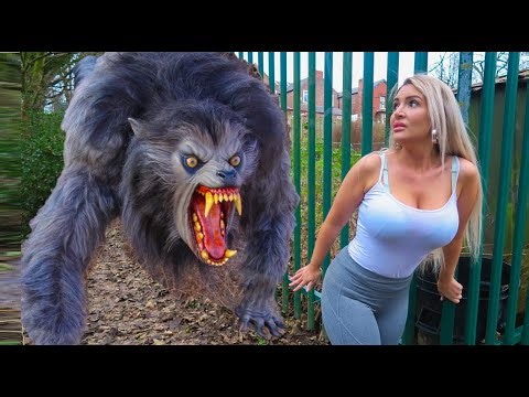 I Survived a Werewolf Bite… Now I’m Becoming a Monster