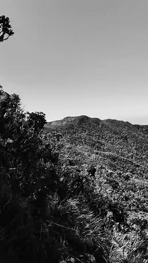 The FRST logo has been in the works for a while, shaped by more than just design. Every element carries meaning, from the landscapes that inspired it to the connection we feel out there. This is more than a logo reveal. It’s the beginning of building something that people will connect with, a brand rooted in community, purpose and gear you’ll genuinely love. More to come. #FRST #forwhereyoudratherbe #trailrunning #trailrunningaustralia | FRST