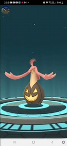Evolve Pumpkaboo to Gourgeist