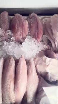 como é lindo #asmr #fish #peixe