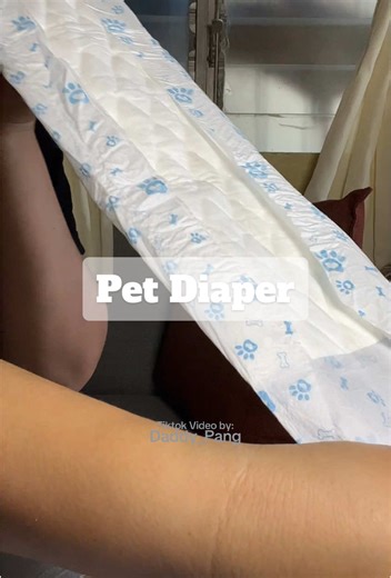 Replying to @Heather Pet Diaper para iwas panghi #petdiaper #diaper #dogdiaper #petessentials