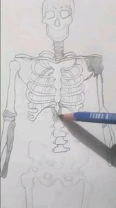 How to draw human skeleton Step by Step very easy method #art #shortvideo #2023