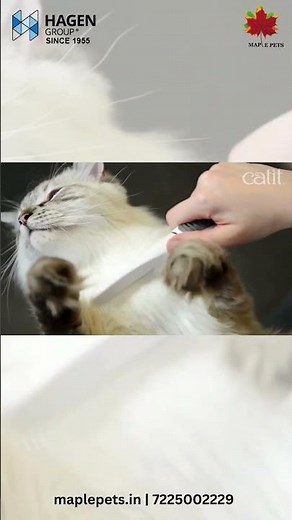 Catit Longhair Grooming Kit — Complete Grooming Solution for Long-Haired Cats