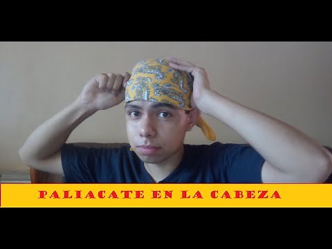 Paliacate en la cabeza parte 2