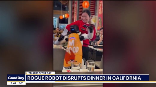 Talkers: Baby goats, cat expo & a rogue robot