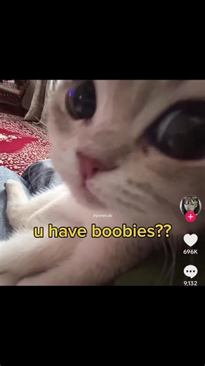 Do silly car humor people reaaaallly? #cat #animation #meme #viral #fyp