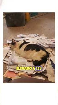 solus christus #cristo #edit #motivation