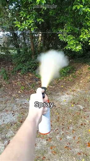 How to Use Bear Spray Properly
